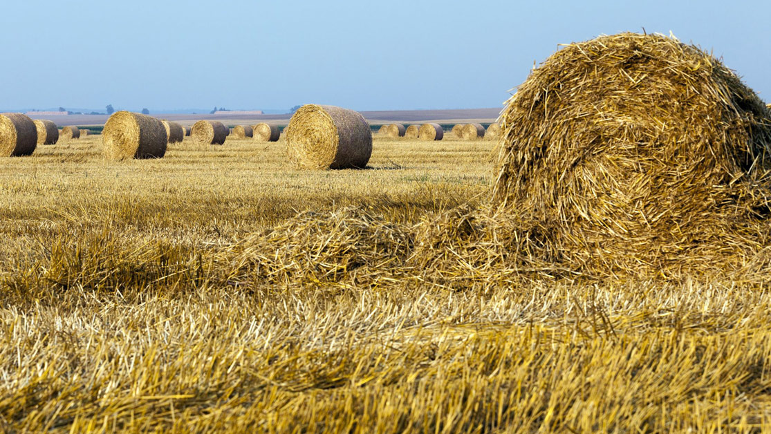 Agriculture Industries